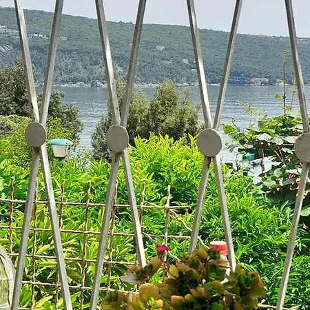 Krizanec Apartman