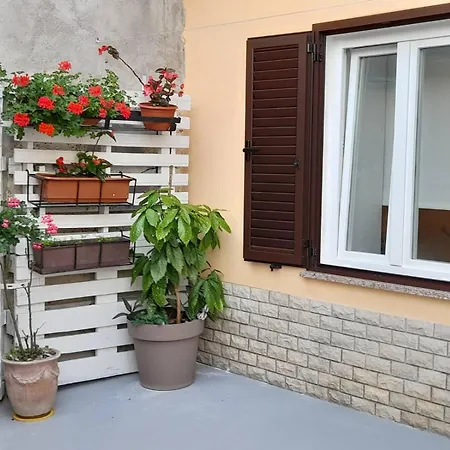 Apartament Krizanec *