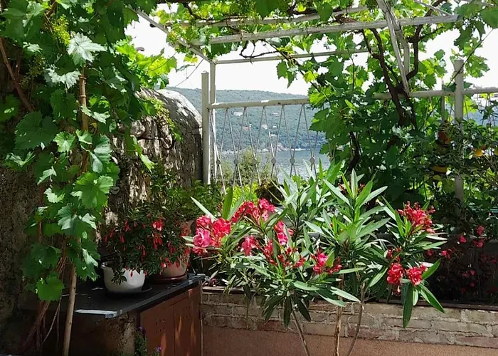 Krizanec דירה אופטיה